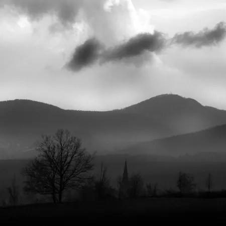 Apartment Am Heideborn