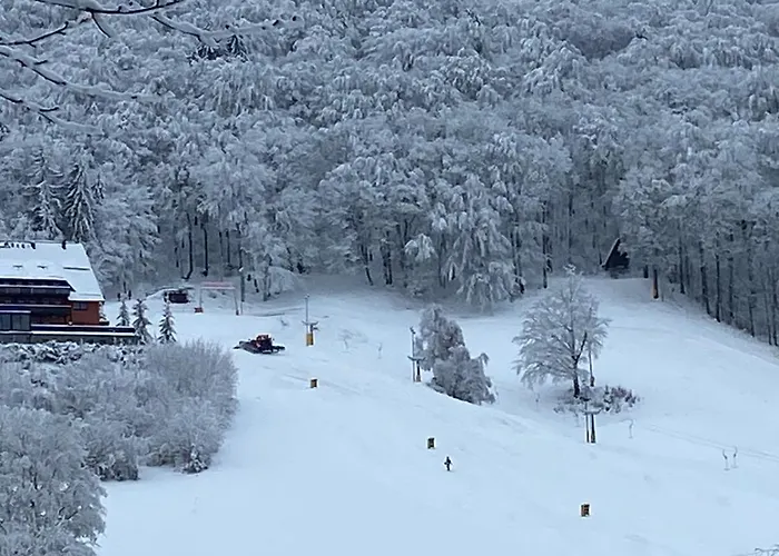 Am Heideborn شقة *